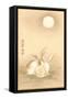 Rabbits and the Moon-null-Framed Stretched Canvas