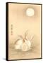 Rabbits and the Moon-null-Framed Stretched Canvas