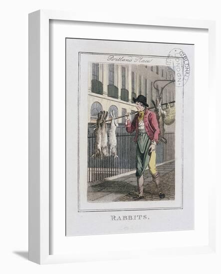 Rabbits, Cries of London, 1804-William Marshall Craig-Framed Giclee Print