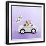 Black Frame