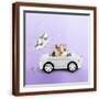 Brown Frame