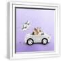 White Frame