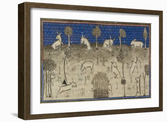 Rabbits Feeding and Moving About-Febus de Foiz-Framed Giclee Print