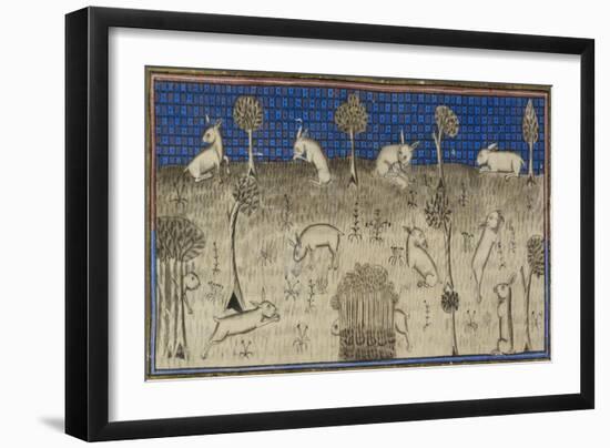 Rabbits Feeding and Moving About-Febus de Foiz-Framed Giclee Print