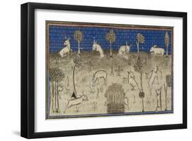 Rabbits Feeding and Moving About-Febus de Foiz-Framed Giclee Print