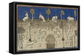 Rabbits Feeding and Moving About-Febus de Foiz-Framed Stretched Canvas