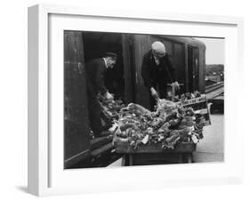 Rabbits for Market-null-Framed Photographic Print