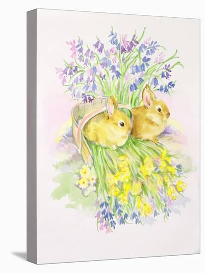 Rabbits in a Basket with Daffodils and Bluebells-Diane Matthes-Stretched Canvas