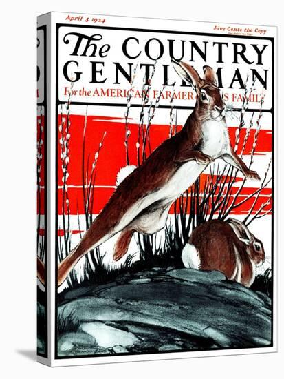 "Rabbits in Pussy Willows," Country Gentleman Cover, April 5, 1924-Paul Bransom-Stretched Canvas