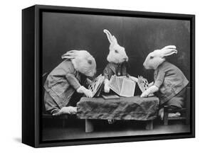 Rabbits Playing Cards-null-Framed Stretched Canvas