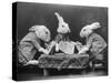 Rabbits Playing Cards-null-Stretched Canvas