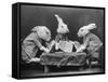 Rabbits Playing Cards-null-Framed Stretched Canvas