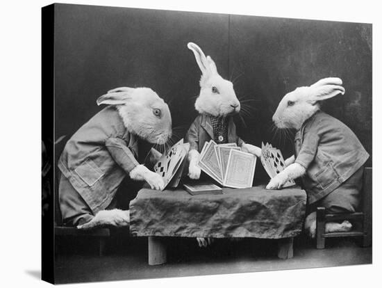 Rabbits Playing Cards-null-Stretched Canvas