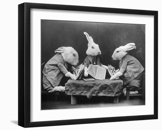 Rabbits Playing Cards-null-Framed Premium Photographic Print