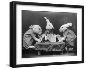 Rabbits Playing Cards-null-Framed Premium Photographic Print