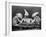 Rabbits Playing Cards-null-Framed Premium Photographic Print