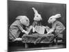 Rabbits Playing Cards-null-Mounted Premium Photographic Print