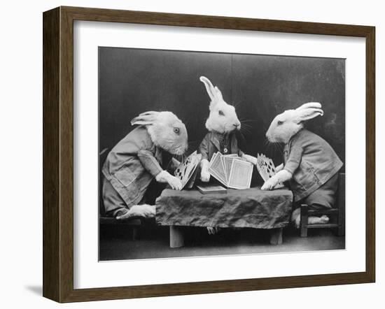 Rabbits Playing Cards-null-Framed Photographic Print