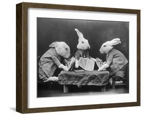 Rabbits Playing Cards-null-Framed Photographic Print