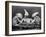 Rabbits Playing Cards-null-Framed Photographic Print