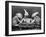 Rabbits Playing Cards-null-Framed Photographic Print