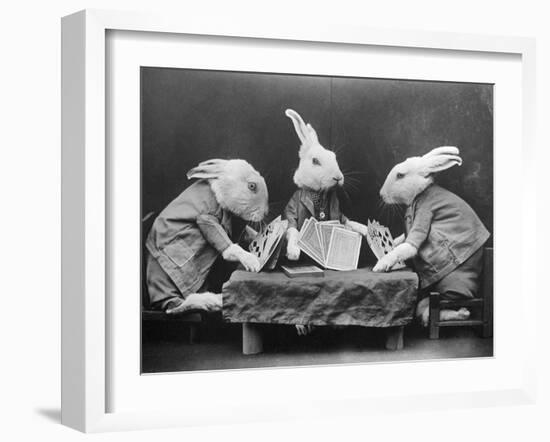 Rabbits Playing Cards-null-Framed Photographic Print