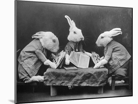 Rabbits Playing Cards-null-Mounted Photographic Print