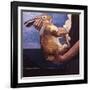 Rabbits Soon Become Tame If Handled Correctly, 1981-Peter Wilson-Framed Giclee Print