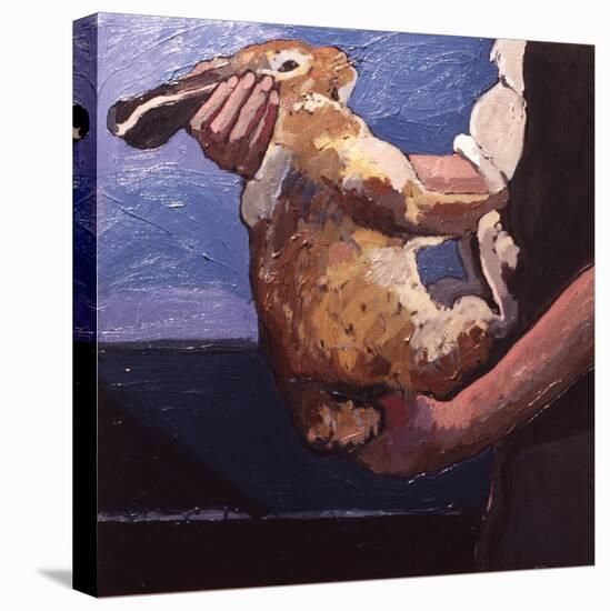 Rabbits Soon Become Tame If Handled Correctly, 1981-Peter Wilson-Stretched Canvas