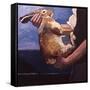 Rabbits Soon Become Tame If Handled Correctly, 1981-Peter Wilson-Framed Stretched Canvas