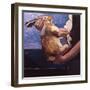 Rabbits Soon Become Tame If Handled Correctly, 1981-Peter Wilson-Framed Giclee Print