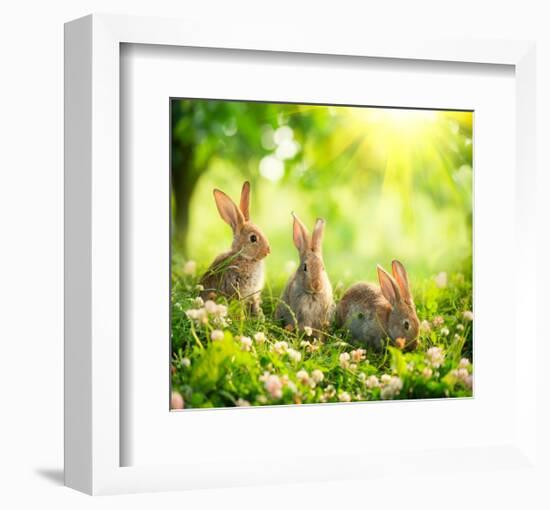 Rabbits Sunny Flower Meadow-null-Framed Art Print