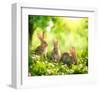 Rabbits Sunny Flower Meadow-null-Framed Art Print