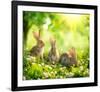 Rabbits Sunny Flower Meadow-null-Framed Art Print