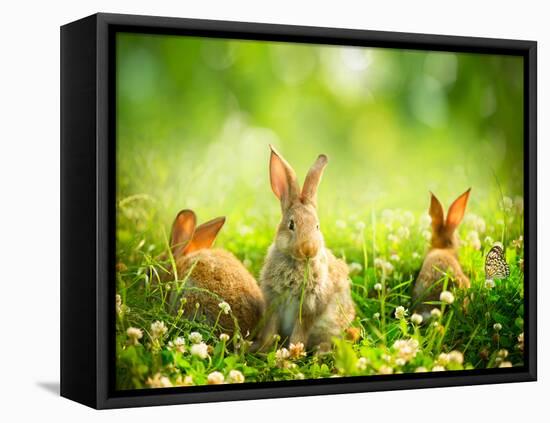 Rabbits-Subbotina Anna-Framed Stretched Canvas