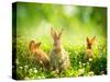 Rabbits-Subbotina Anna-Stretched Canvas