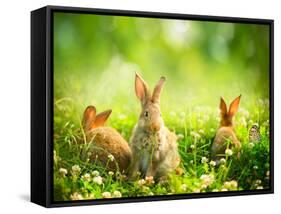 Rabbits-Subbotina Anna-Framed Stretched Canvas