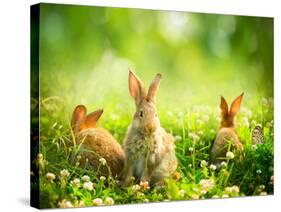 Rabbits-Subbotina Anna-Stretched Canvas