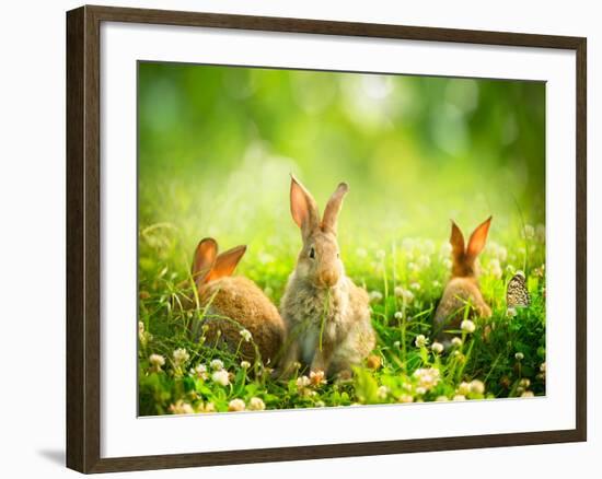 Rabbits-Subbotina Anna-Framed Premium Photographic Print