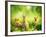 Rabbits-Subbotina Anna-Framed Premium Photographic Print