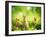 Rabbits-Subbotina Anna-Framed Photographic Print