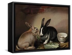 Rabbits-Joseph Thomas Wilson-Framed Stretched Canvas