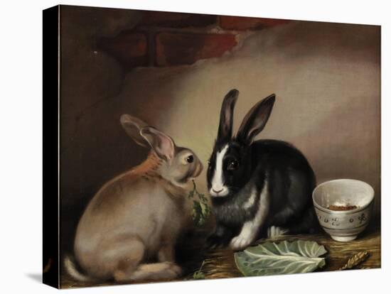 Rabbits-Joseph Thomas Wilson-Stretched Canvas