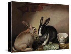 Rabbits-Joseph Thomas Wilson-Stretched Canvas