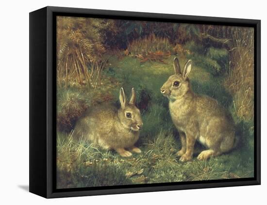 Rabbits-Henry Carter-Framed Stretched Canvas