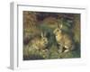 Rabbits-Henry Carter-Framed Giclee Print