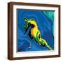 Brown Frame