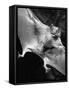 Rabid Male Vampire Bat-J^ R^ Eyerman-Framed Stretched Canvas