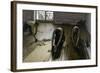 Raboteurs de parquets-Gustave Caillebotte-Framed Giclee Print