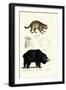 Raccoon, 1824-Karl Joseph Brodtmann-Framed Giclee Print